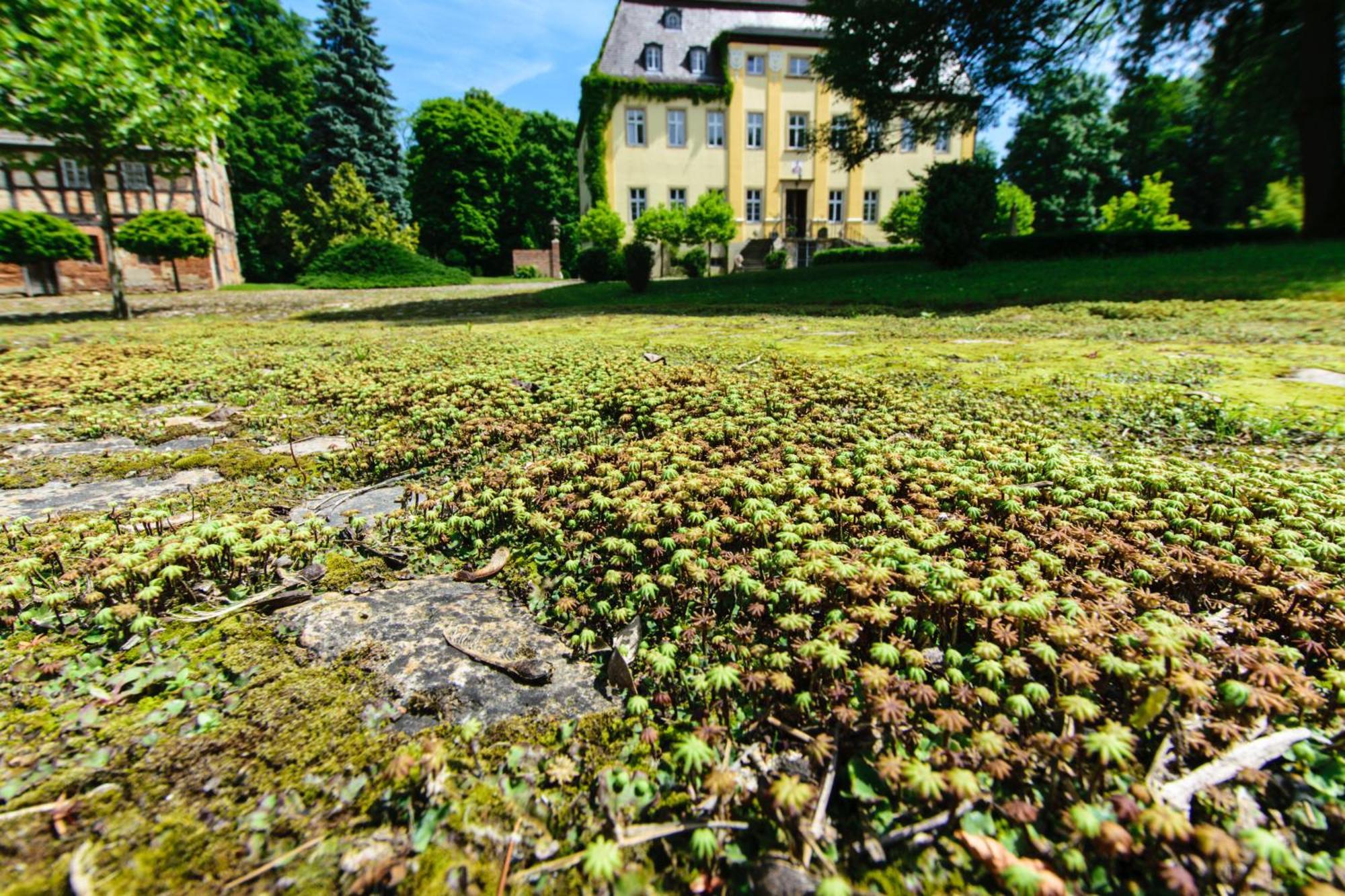 Rittergut/Gutshaus Grossgestewitz Naumburg  Eksteriør billede